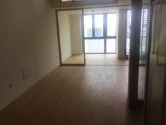 前海枫叶大厦 3室1厅55.17m²精装修