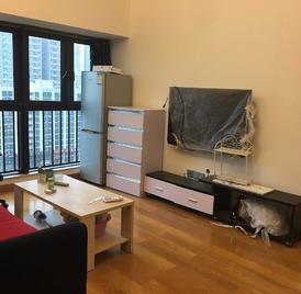 星河盛世花园 2室1厅65m²整租