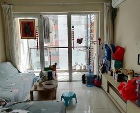 雷圳0755租房
