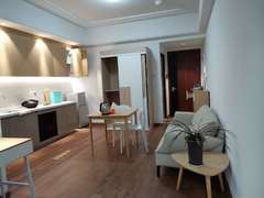 英郡年华三期 1室1厅56.4m²整租
