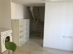 远洋新干线一期 3室2厅48m²整租
