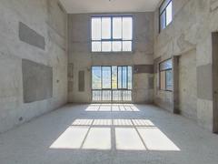 保利林语 5室3厅576m²毛坯