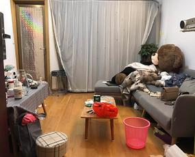 龙城金地中心租房