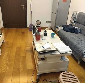 星河盛世花园 1室1厅47.14m²满五年